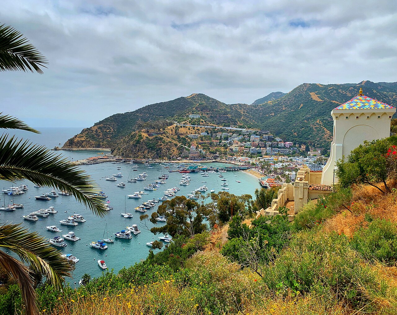 Avalon local area and buyer social infrastructure research