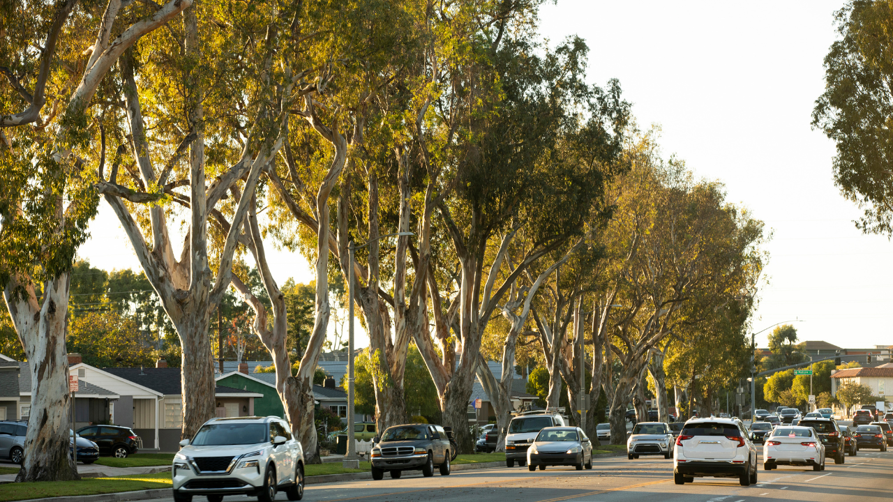 Tree-lined Torrance residential commute route for healthcare workers comparing hospital access and home-base fit